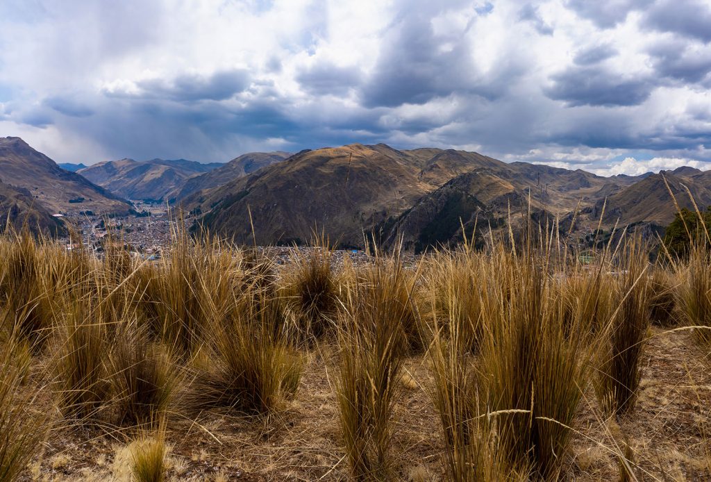 Sustainability Ichu Photo 13 Edited