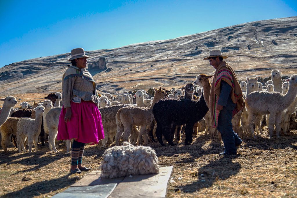 Sustainability Qa Photo 9 Edited