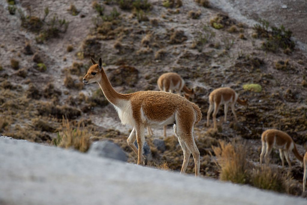 Sustainability Environment (photo 16) Edited